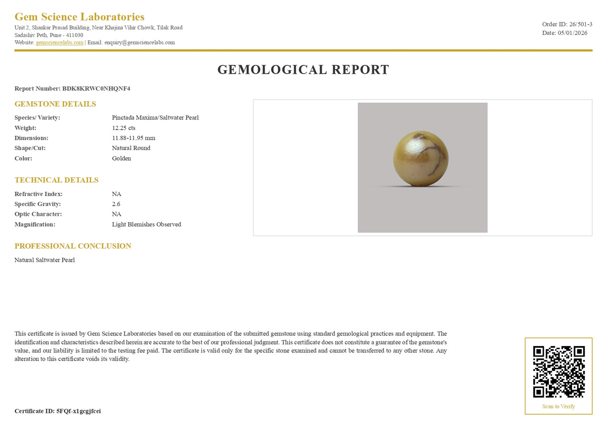 South Sea Pearl - 12.25 Carat