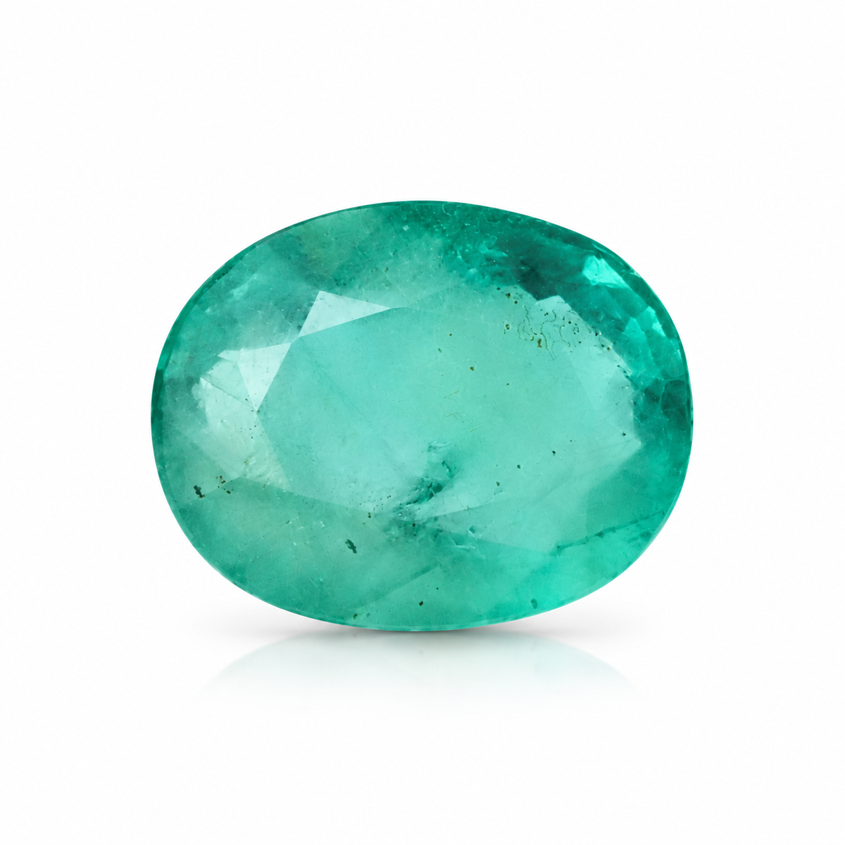 sheet:nced_Emerald_on_White-1.png?v=1792423807