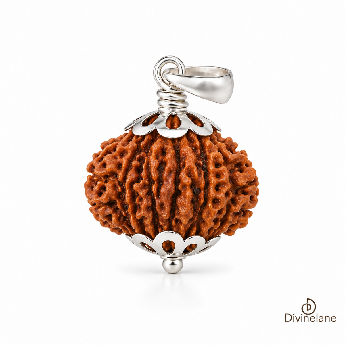 16 Mukhi Rudraksha