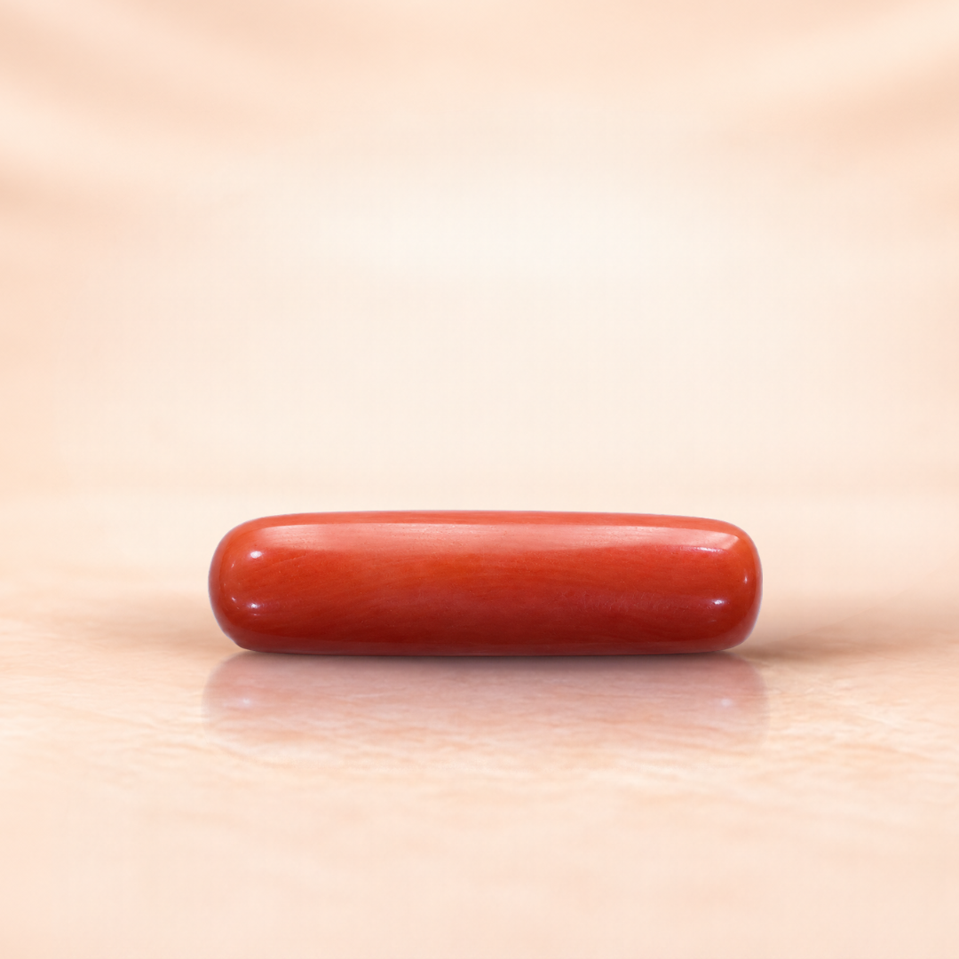 NATURAL ITALIAN RED CORAL (CAPSULE)