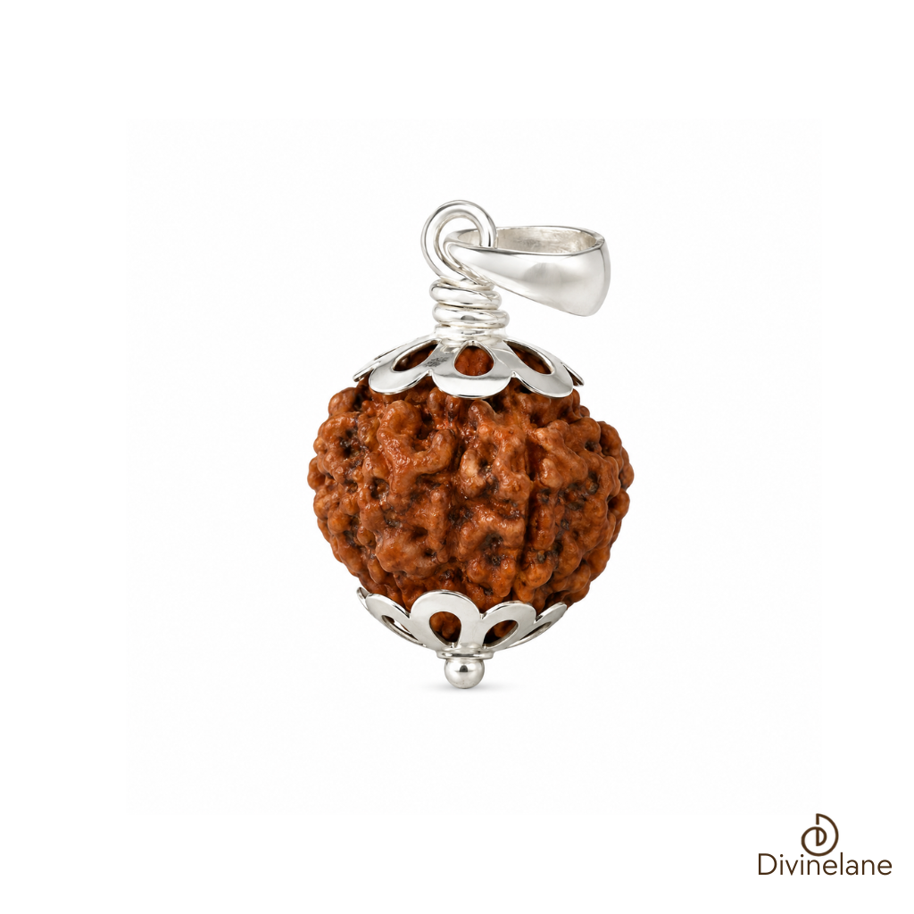 5 Mukhi Rudraksha (Nepali)