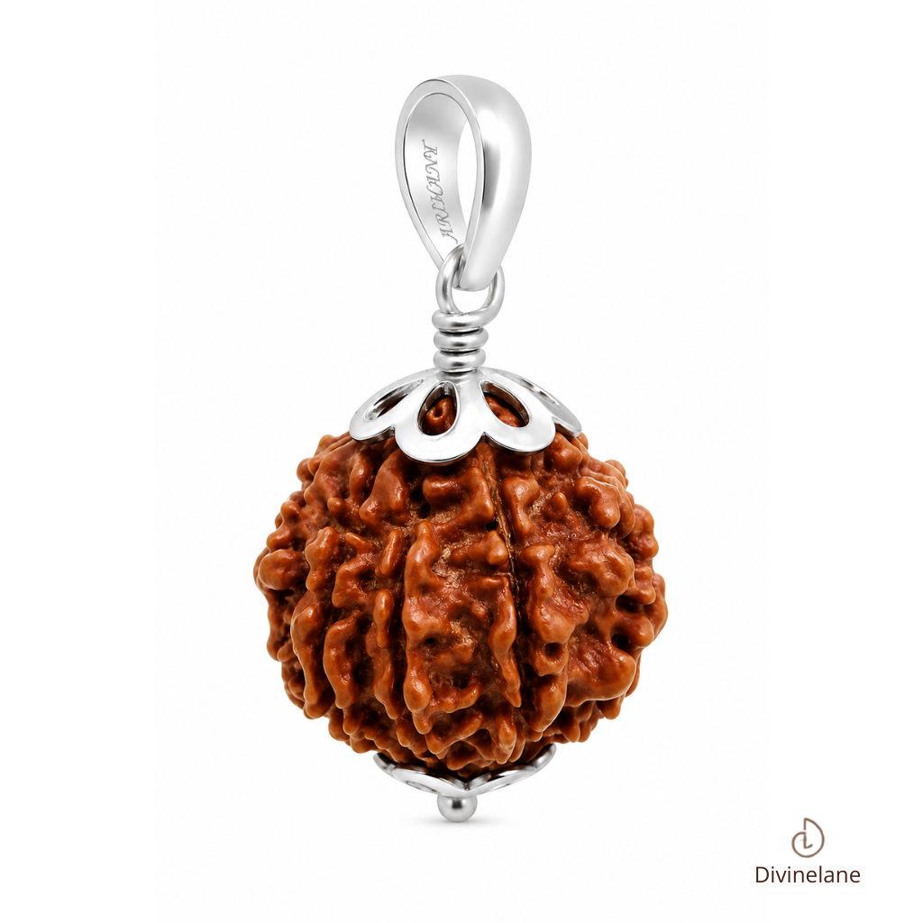 9 Mukhi Rudraksha (Nepali)