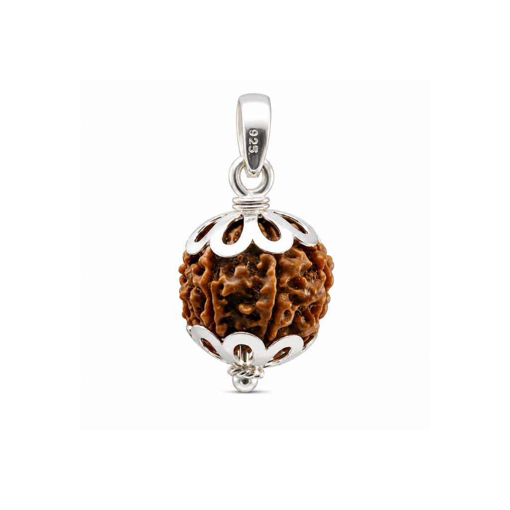 6 Mukhi Rudraksha (Nepali)