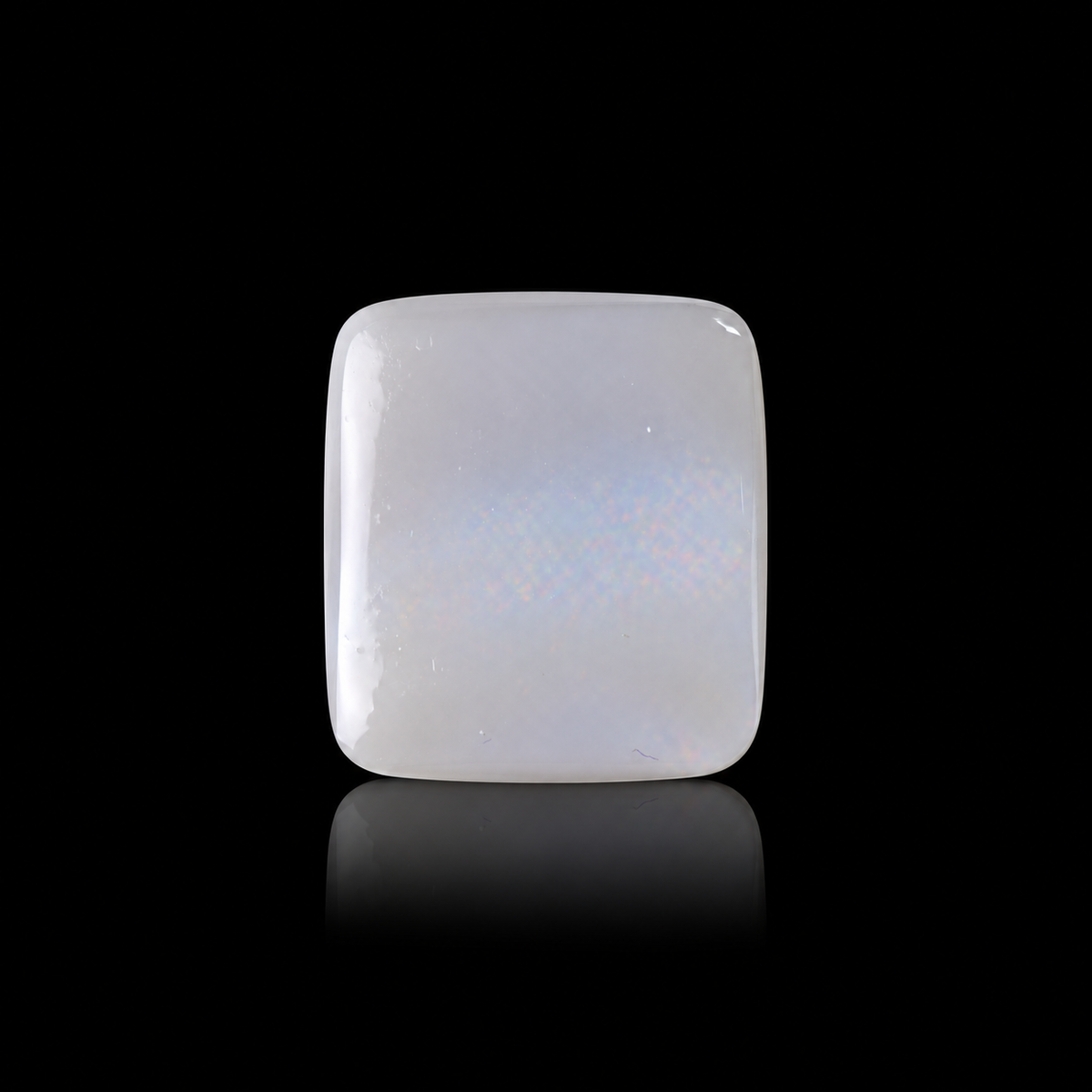 sheet:p_30_2026_03_04_29_PM-2.png?v=1791040632