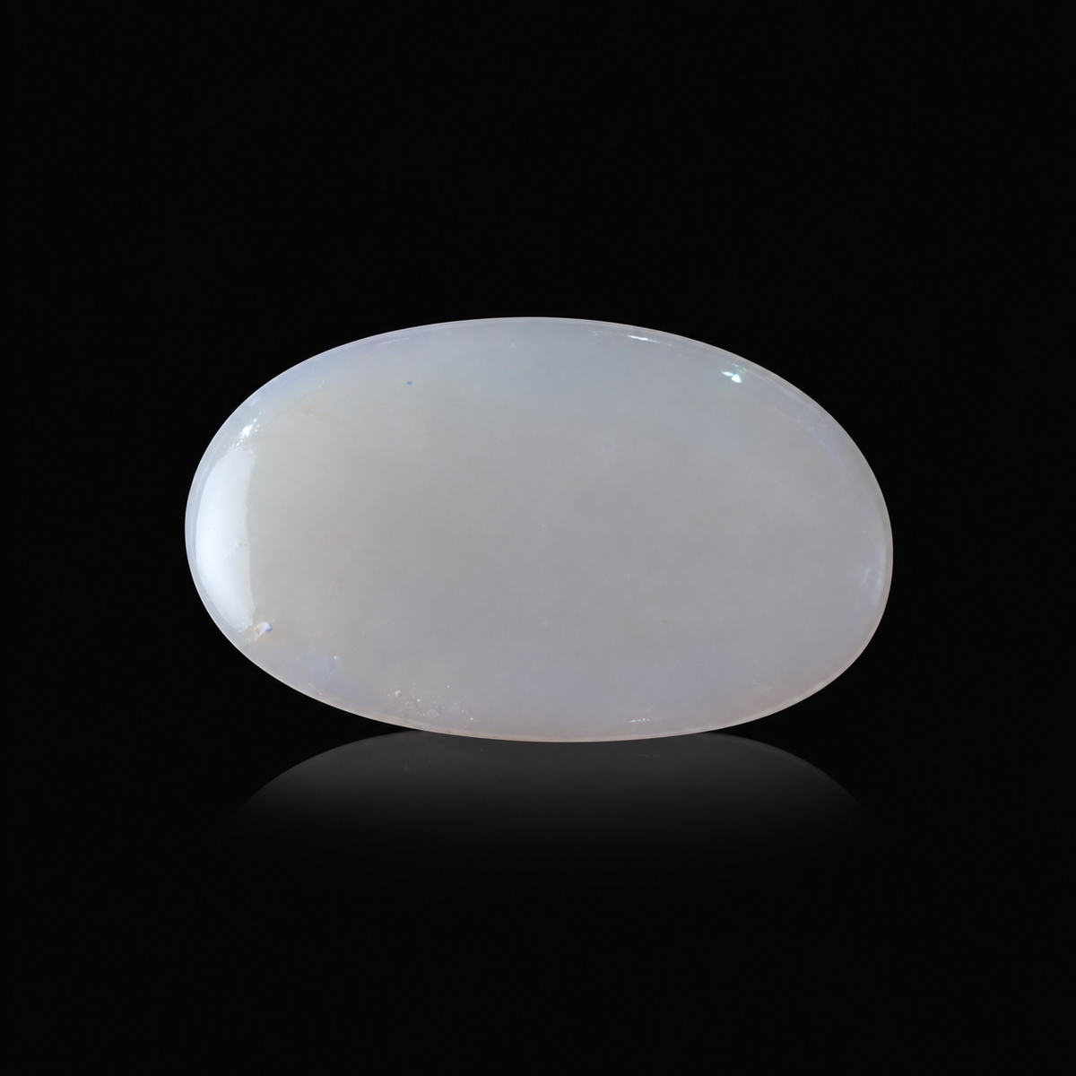 sheet:l_back_catalogue_view-2.png?v=1791605787